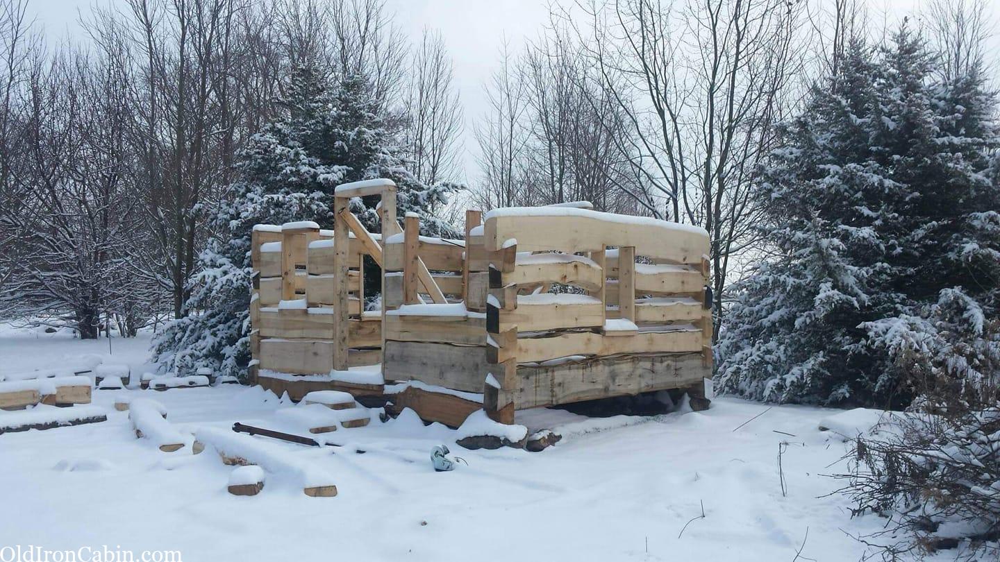 Dovetail log cabin build